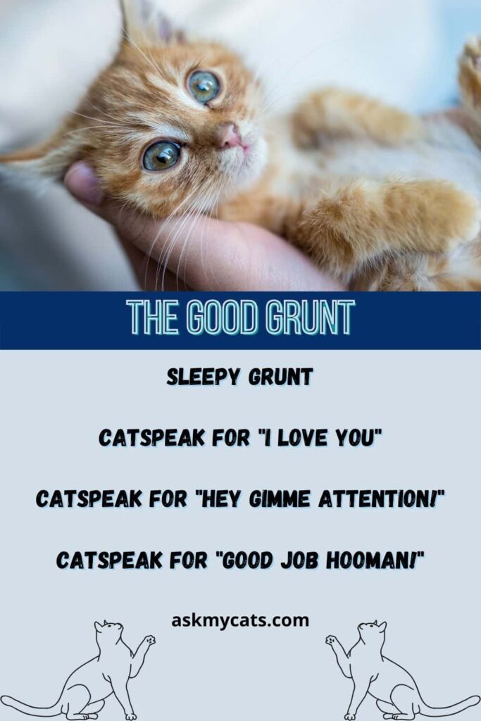 the good cat grunt