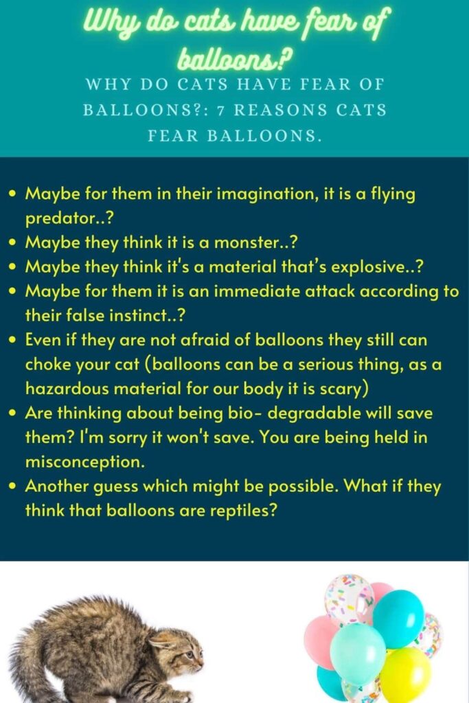 7 reasons Why Do Cats Have Fear Of Balloons