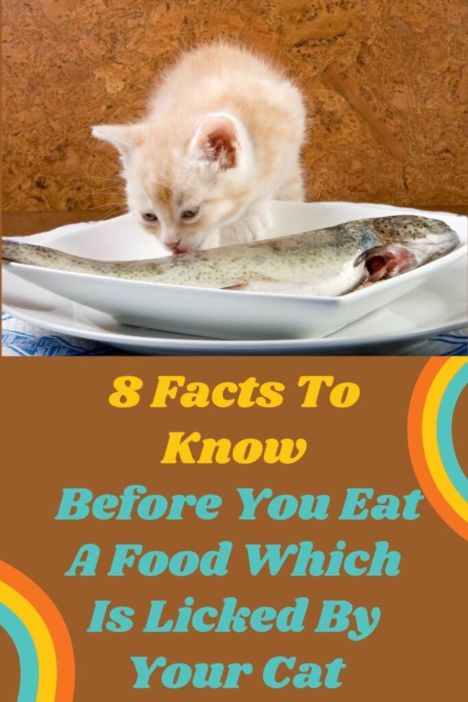 8 Facts To Know Before You Eat A Food Which Is Licked By Your Cat