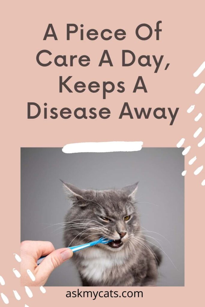 A Piece Of Care A Day, Keeps A Disease Away