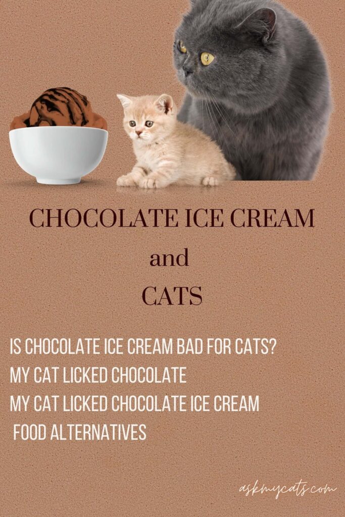 Is chocolate ice cream bad for cats