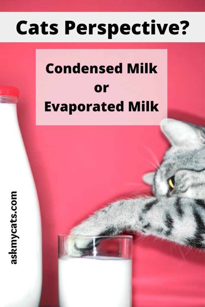 Condensed milk 2025 for cats