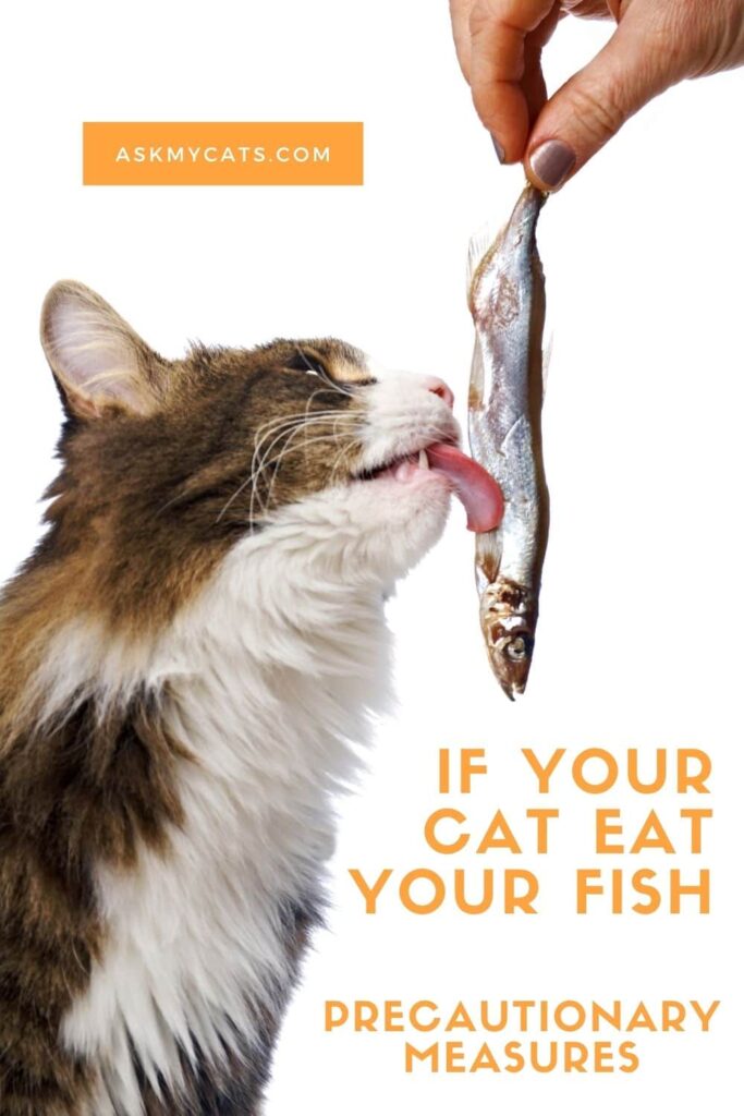 If Your Cat Eat Your Fish