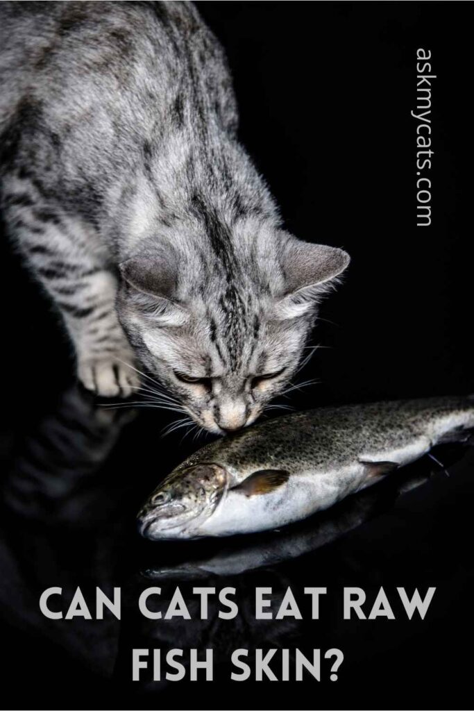 Can Cats Eat Raw Fish Skin