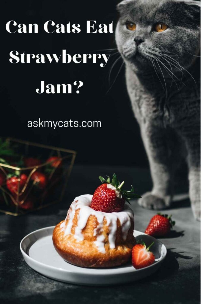 Can Cats Eat Strawberry Jam?