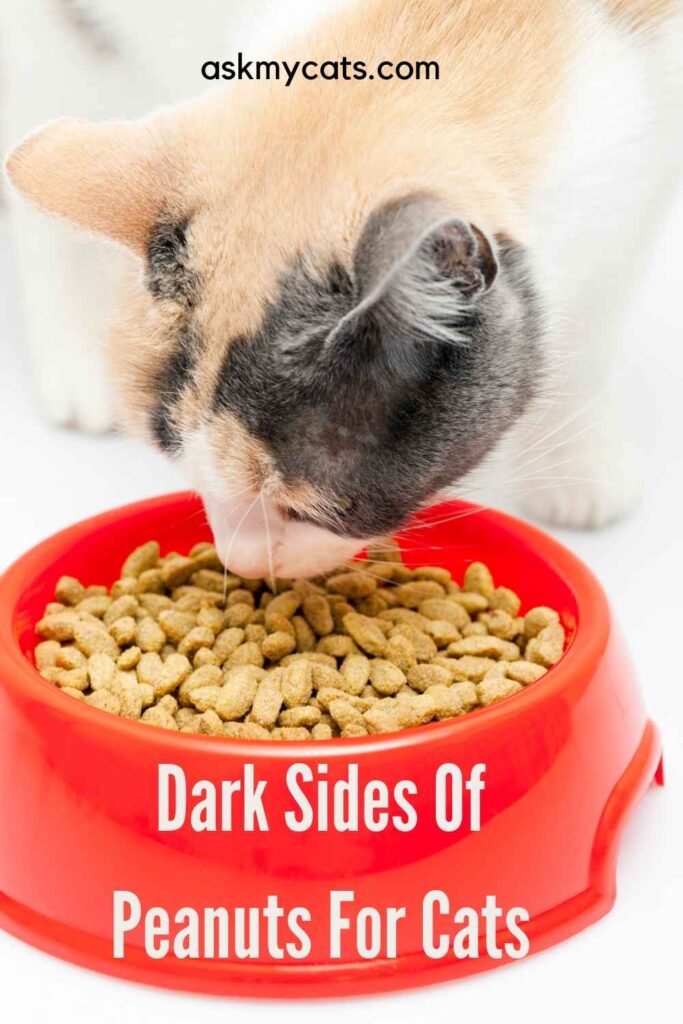 Dark Sides Of Peanuts For Cats
