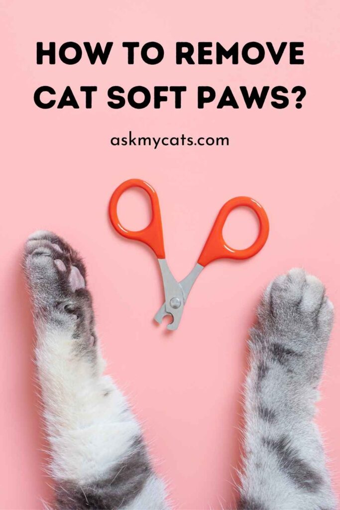 How to Remove Cat Soft Paws?