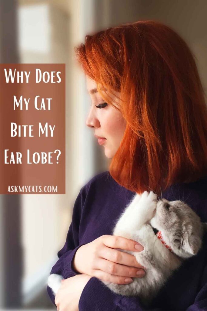 why does my dog nibble my ear lobe