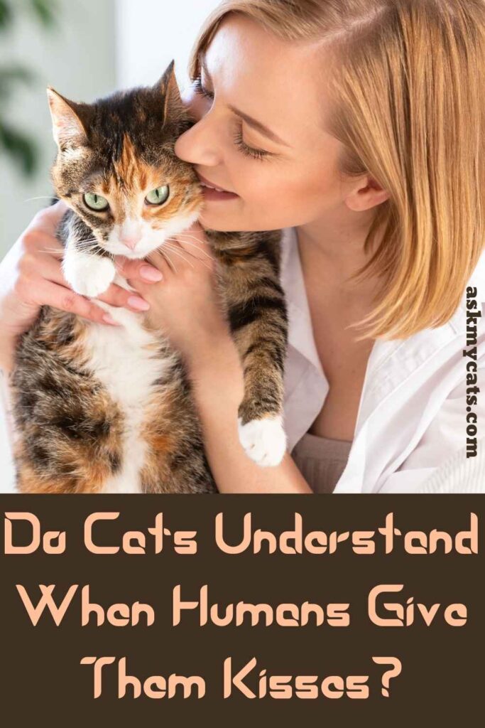 Do Cats Understand When Humans Give Them Kisses?