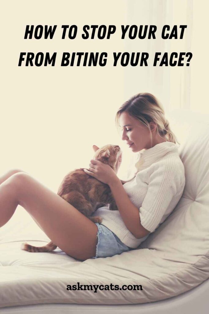 How To Stop Your Cat From Biting Your Face?