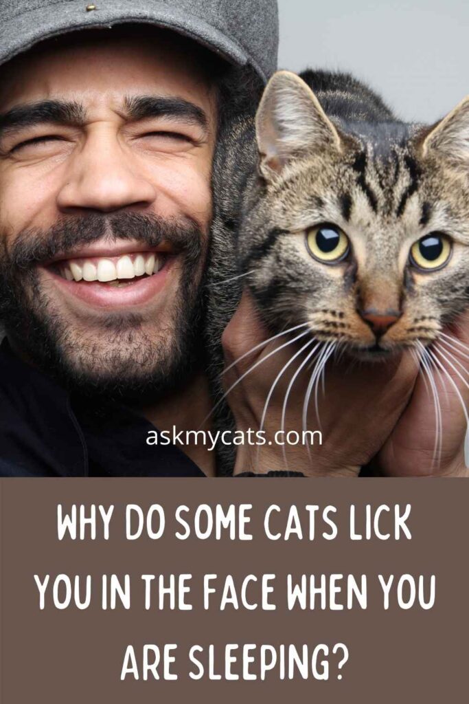 Why Do Some Cats Lick You In The Face When You Are Sleeping?