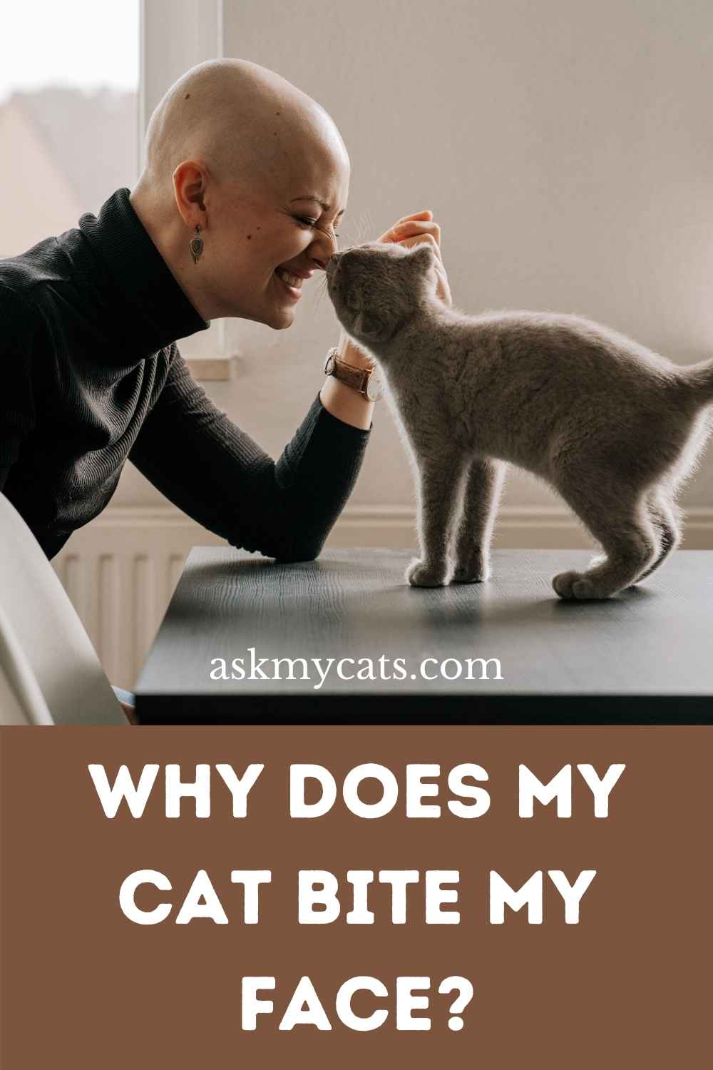 Why Does My Cat Bite My Face? Does He Love It?