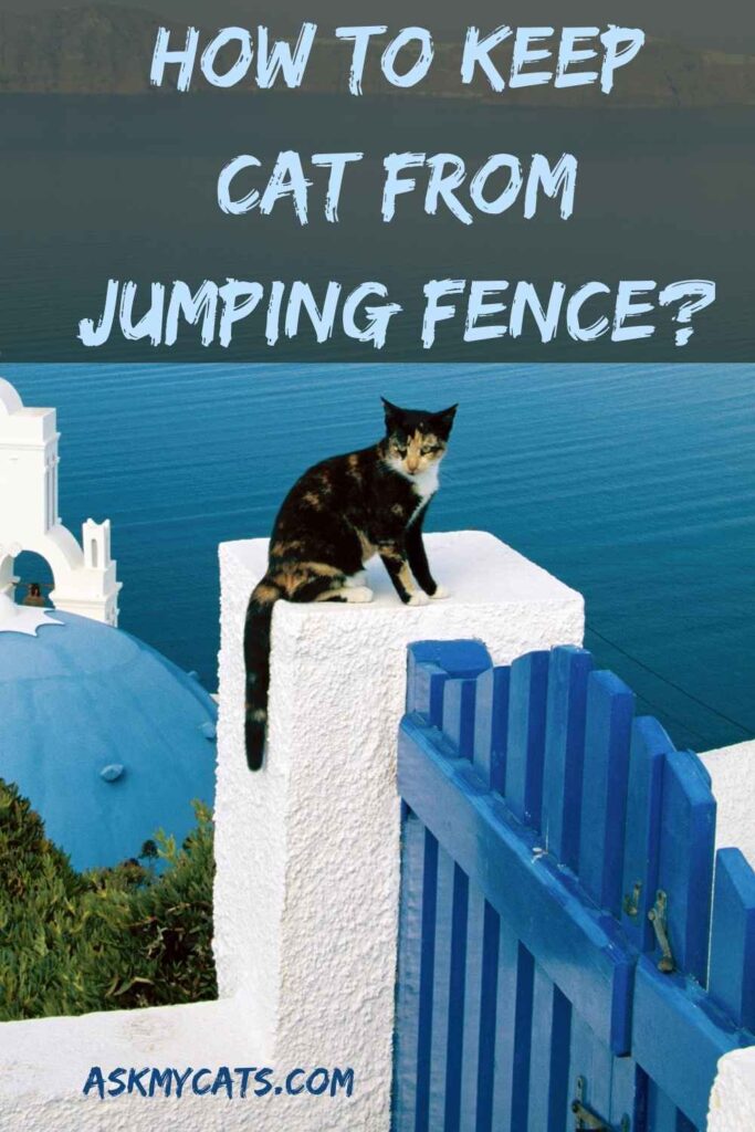 How To Keep Cat From Jumping Fence?