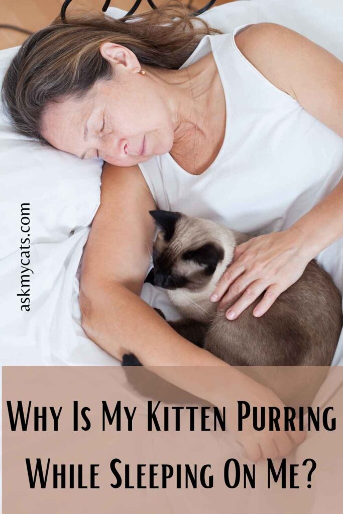 Why Is My Kitten Purring While Sleeping On Me?