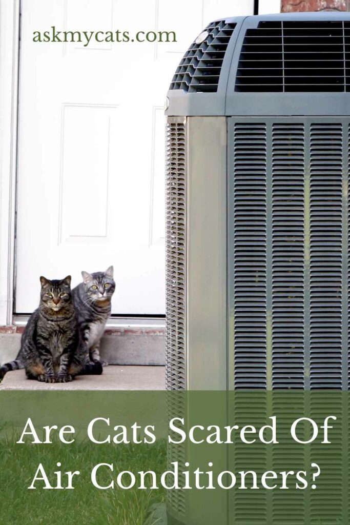 Are Cats Scared Of Air Conditioners?