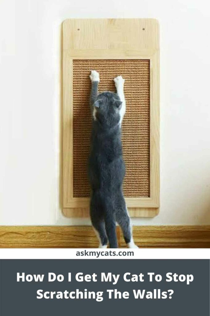 How Do I Get My Cat To Stop Scratching The Walls?