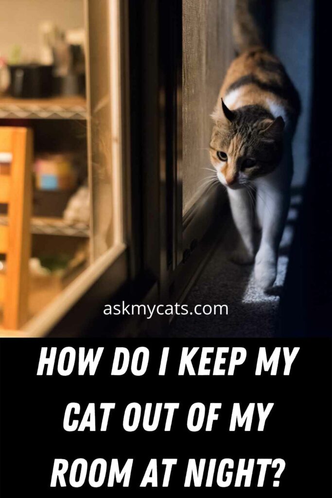 How Do I Keep My Cat Out Of My Room At Night?