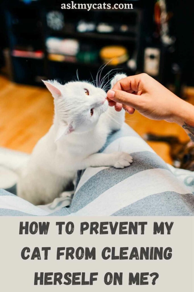 How To Prevent My Cat From Cleaning Herself On Me?