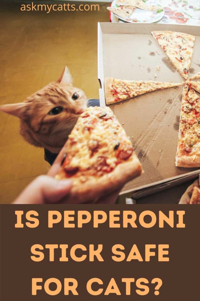 Is Pepperoni Stick Safe For Cats?