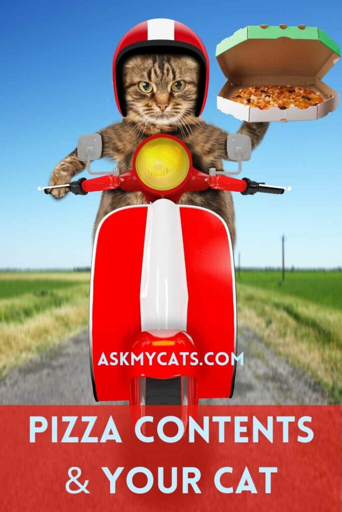 Pizza Contents & Your Cat