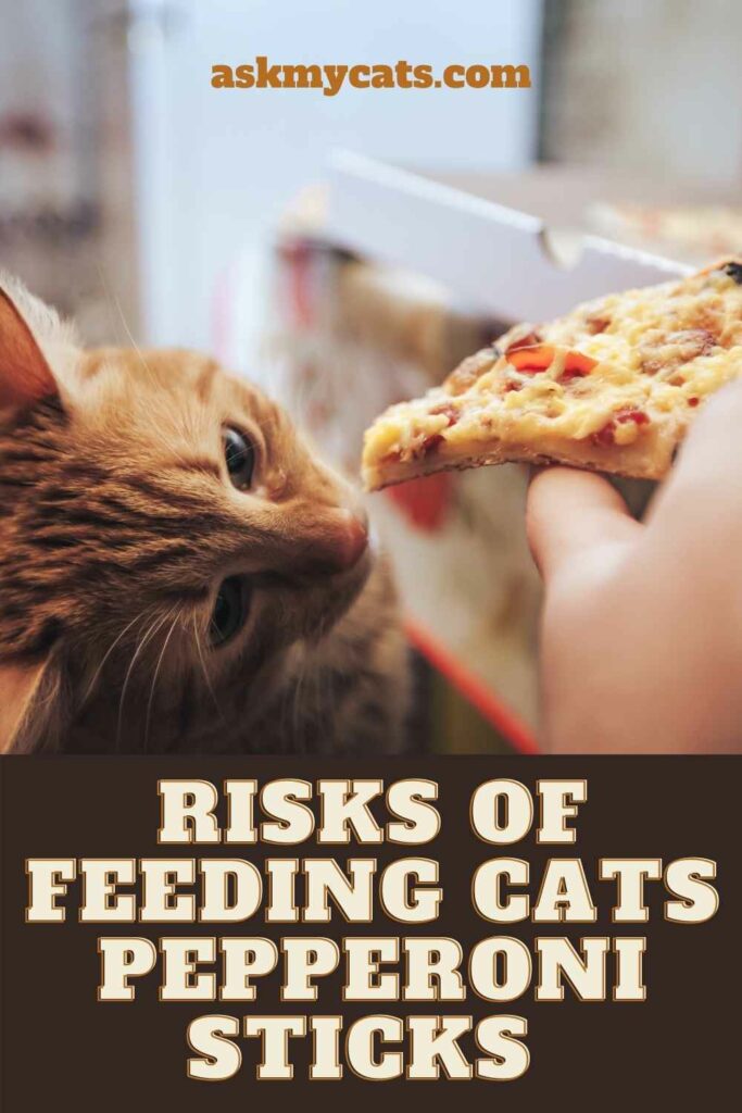 Risks Of Feeding Cats Pepperoni Sticks