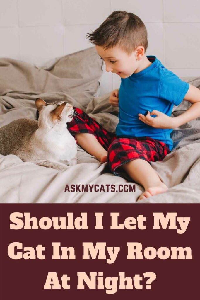 Should I Let My Cat In My Room At Night?