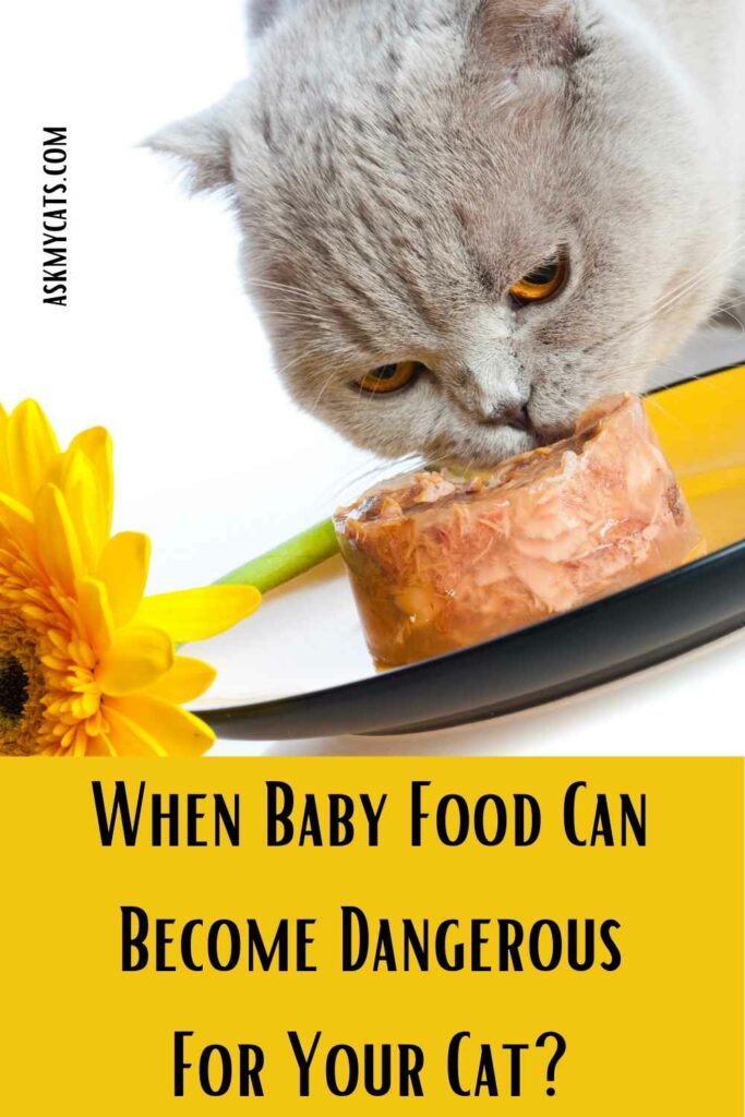 When Baby Food Can Become Dangerous For Your Cat?