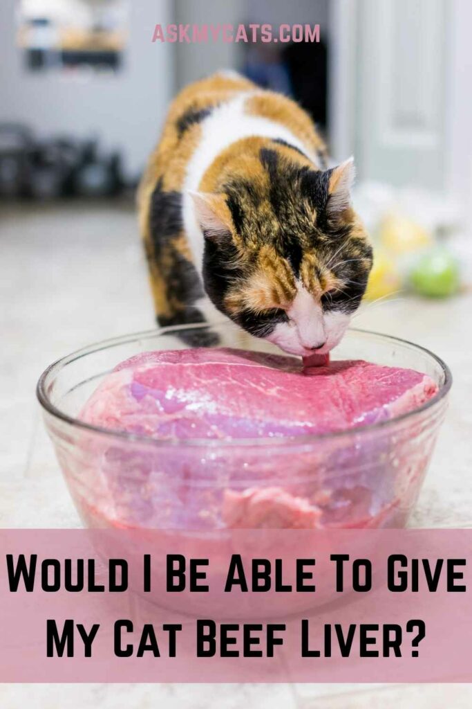 Would I Be Able To Give My Cat Beef Liver?