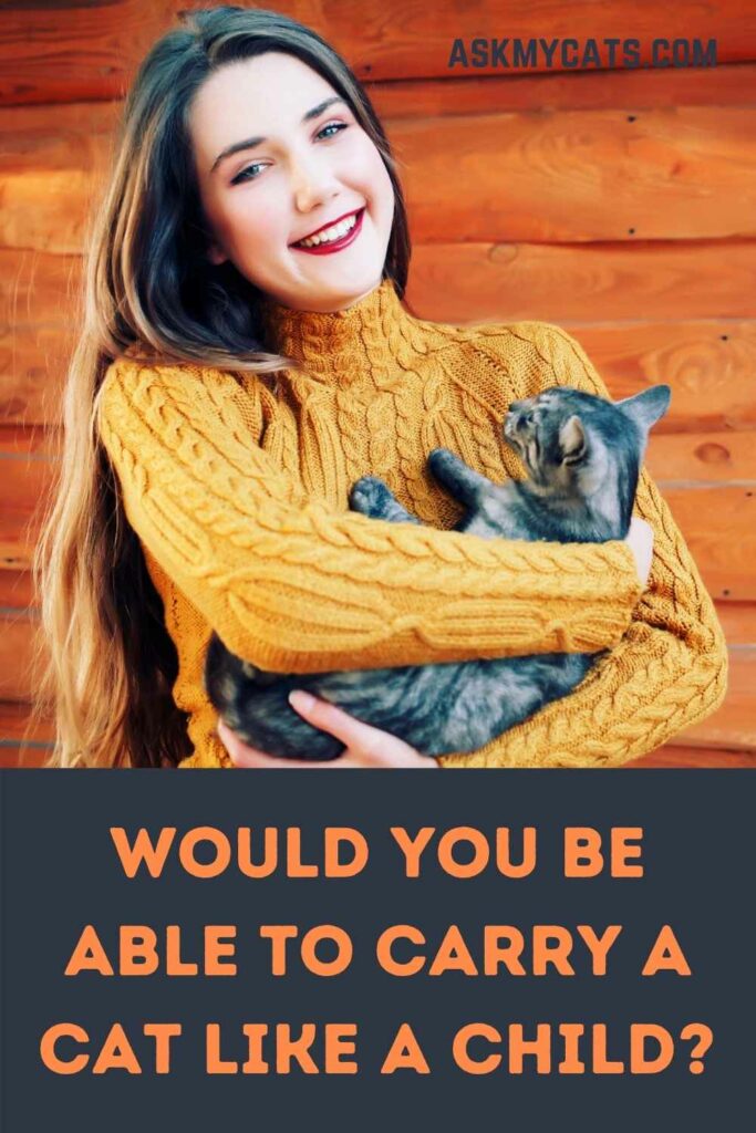 Would You Be Able To Carry A Cat Like A Child?