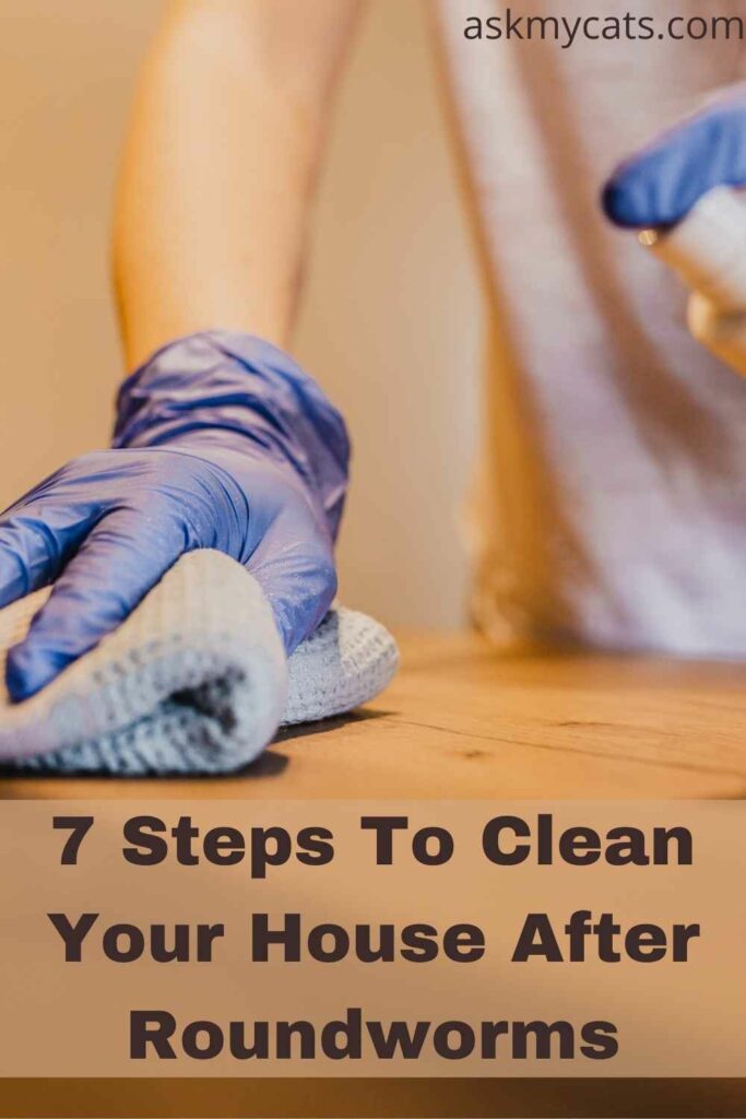 7 Steps To Clean Your House After Roundworms