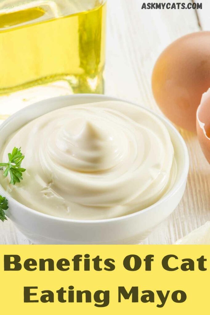 benefits of cat eating mayo