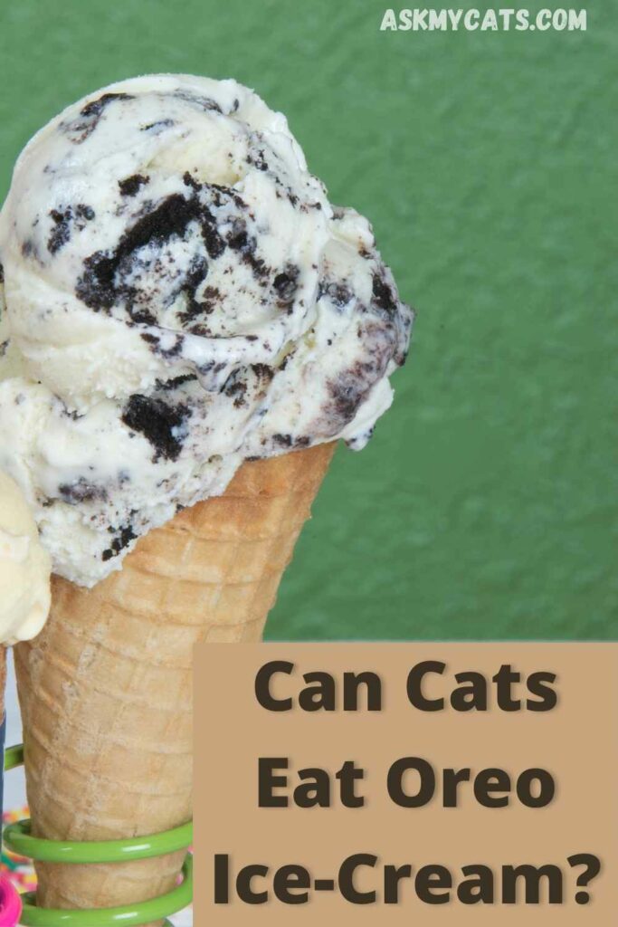 can cats eat ice cream?