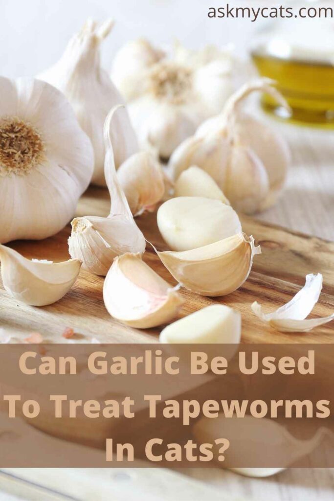 Can Garlic Be Used To Treat Tapeworms In Cats?