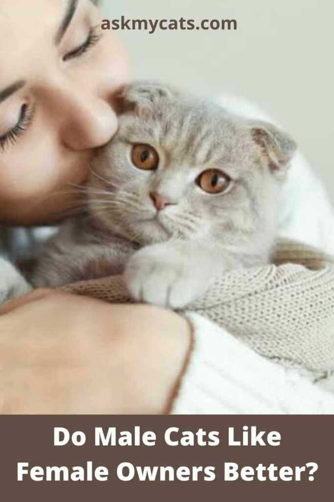 Do Male Cats Like Female Owners Better?