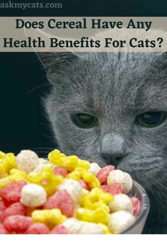 Does Cereal Have Any Health Benefits For Cats?