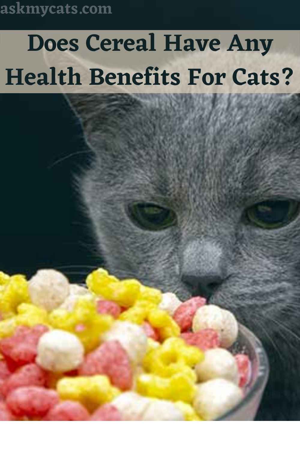Can Cats Eat Cereal? Is Cereal Good/Bad For Cats?