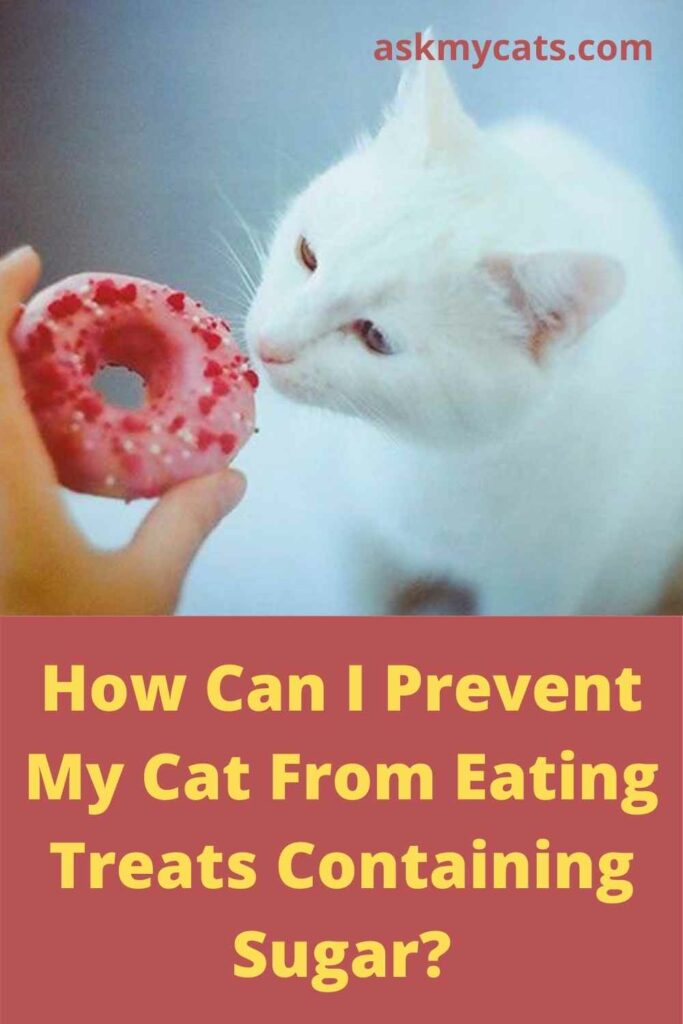 How Can I Prevent My Cat From Eating Treats Containing Sugar?       