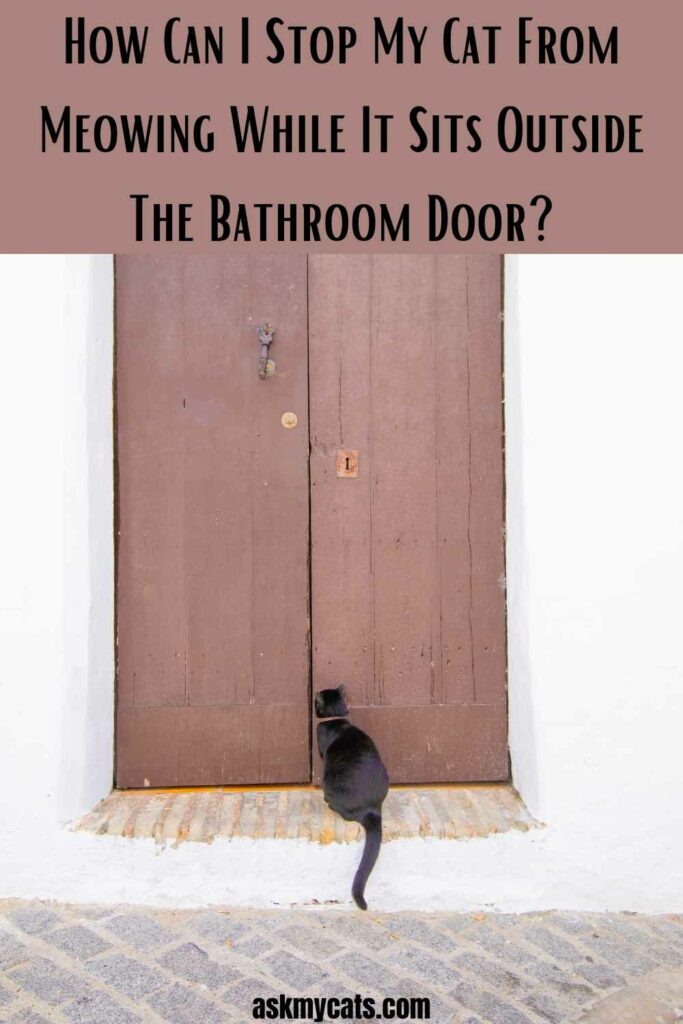 How Can I Stop My Cat From Meowing While It Sits Outside The Bathroom Door?