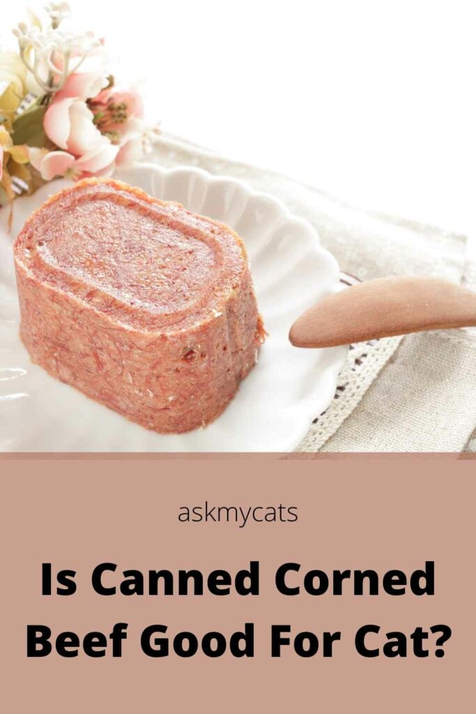 Is Canned Corned Beef Good For Cat?