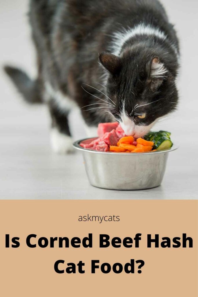 Is Corned Beef Hash Cat Food?