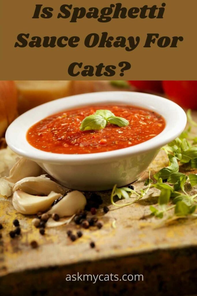 is  spaghetti sauce okay for cats?