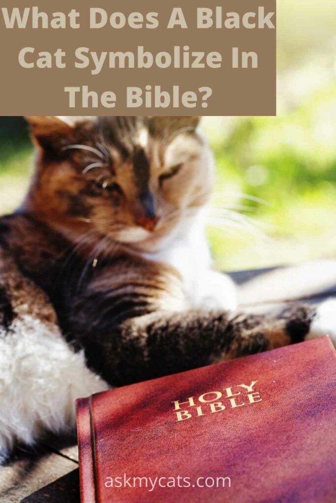 what does a black cat symbolize in the bible