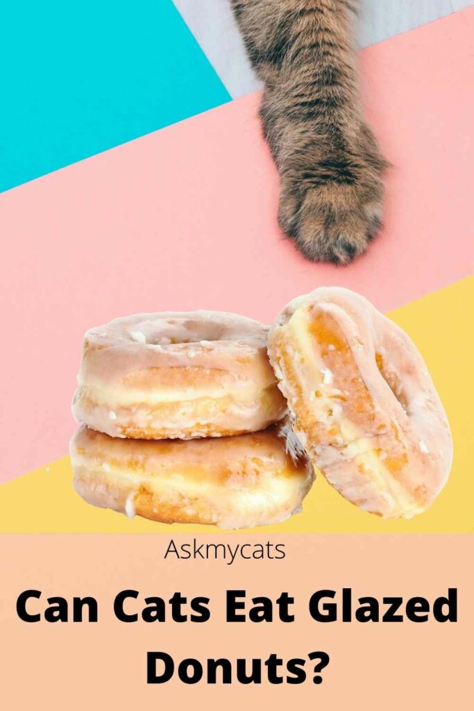 Can Cats Eat Glazed Donuts?