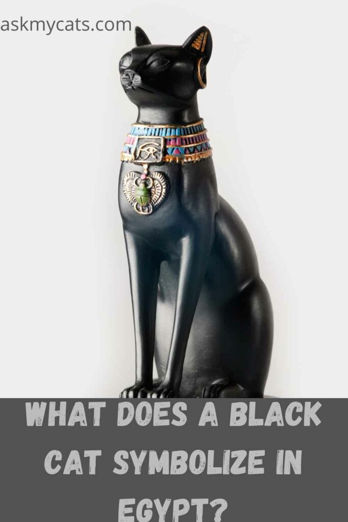 what does a black cat symbolize in egypt