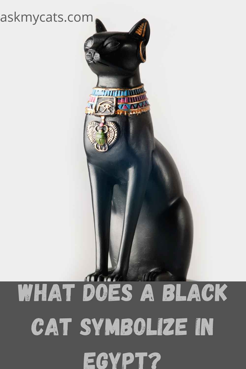 black-cat-spiritual-meaning-what-does-a-black-cat-symbolize