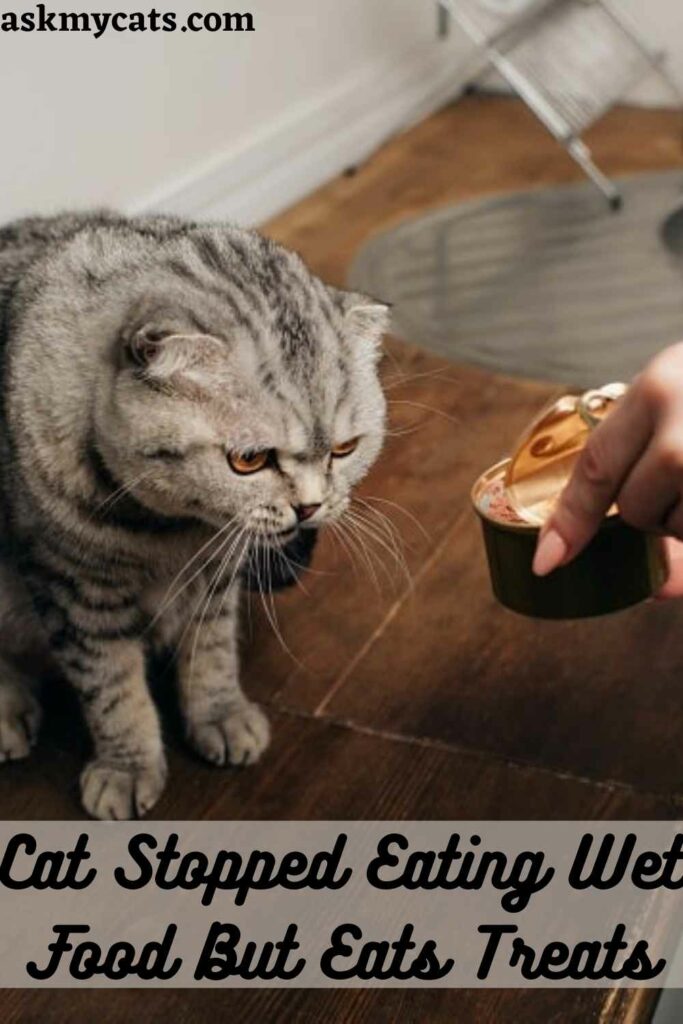 cat stopped eating treats