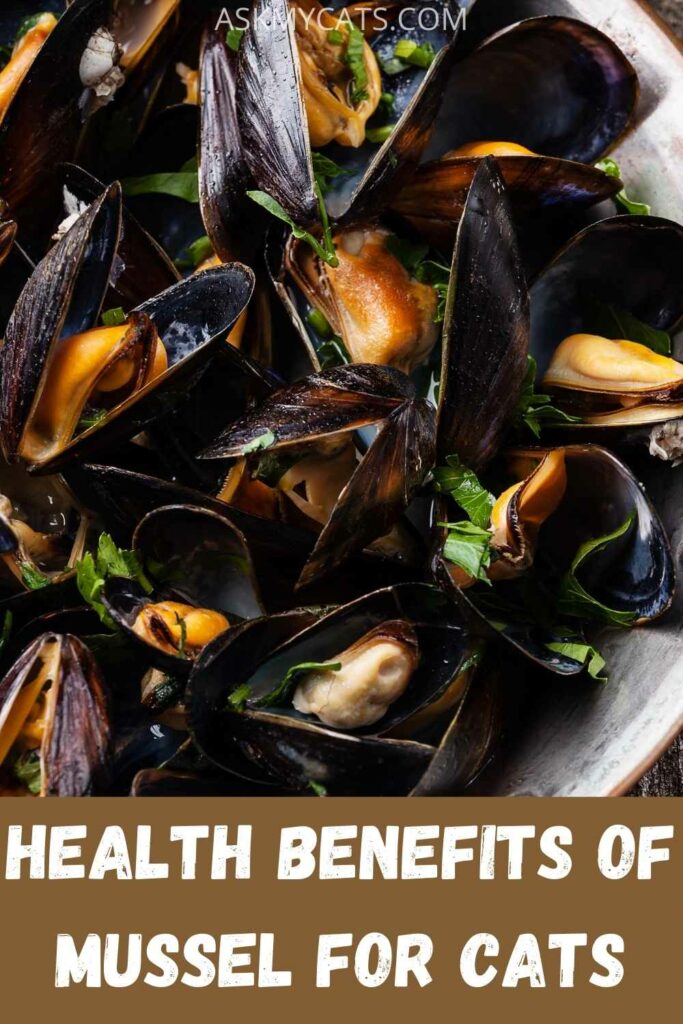 health benefits of mussel for cats?