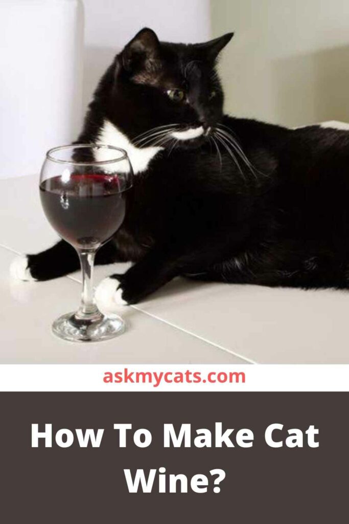 How To Make Cat Wine?