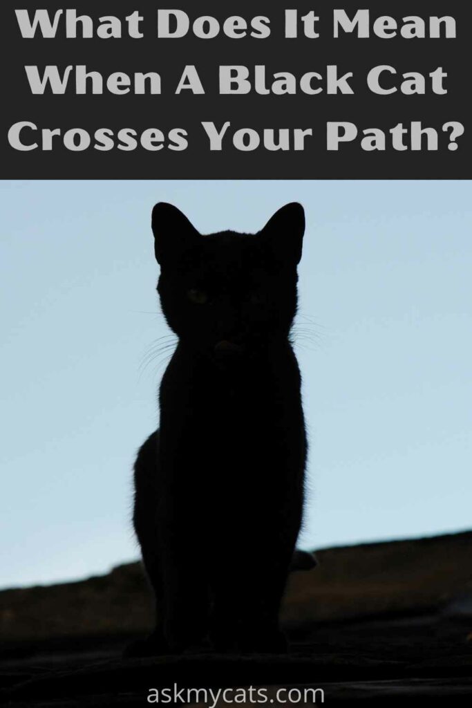 what does it mean when a black cat crosses your path?