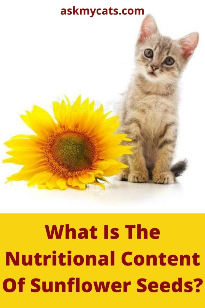 What Is The Nutritional Content Of Sunflower Seeds?